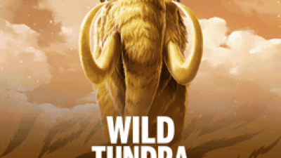 Wild Tundra