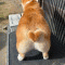 회원사진