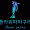 회원사진