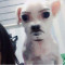 회원사진