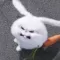 회원사진